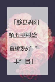 黟县碧阳镇五里村盛夏桃熟好“丰”景