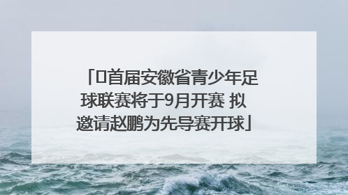﻿首届安徽省青少年足球联赛将于9月开赛 拟邀请赵鹏为先导赛开球