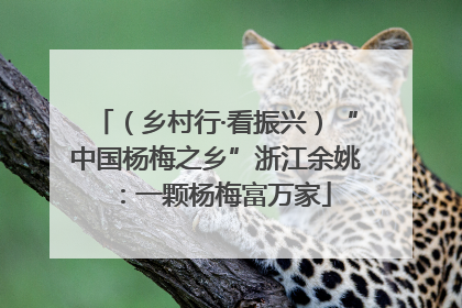 （乡村行·看振兴）“中国杨梅之乡”浙江余姚：一颗杨梅富万家