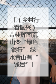 （乡村行·看振兴）吉林辉南荒山变“绿色银行” 绿水青山有“钱景”