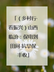 （乡村行·看振兴）山西临汾：保电到田间 抗旱保丰收