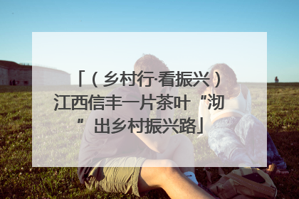 （乡村行·看振兴）江西信丰一片茶叶“沏”出乡村振兴路