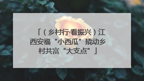 （乡村行·看振兴）江西安福“小西瓜”撬动乡村共富“大支点”