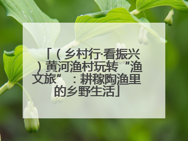 （乡村行·看振兴）黄河渔村玩转“渔文旅”：耕稼陶渔里的乡野生活