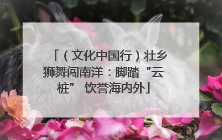 （文化中国行）壮乡狮舞闯南洋：脚踏“云桩” 饮誉海内外