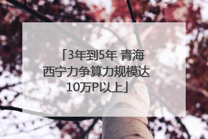 3年到5年 青海西宁力争算力规模达10万P以上
