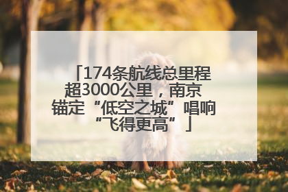 174条航线总里程超3000公里，南京锚定“低空之城”唱响“飞得更高”