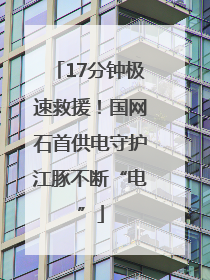 17分钟极速救援！国网石首供电守护江豚不断“电”
