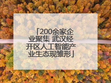 200余家企业聚集 武汉经开区人工智能产业生态现雏形