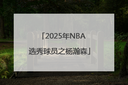 2025年NBA选秀球员之杨瀚森