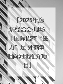 2025年廊坊经洽会·现场丨国际招商“磁力”足 外商争相向河北推介项目