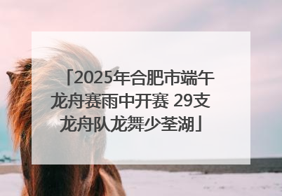 2025年合肥市端午龙舟赛雨中开赛 29支龙舟队龙舞少荃湖