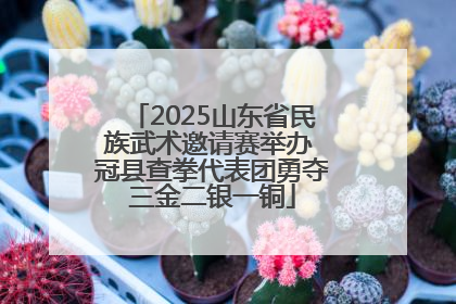 2025山东省民族武术邀请赛举办 冠县查拳代表团勇夺三金二银一铜