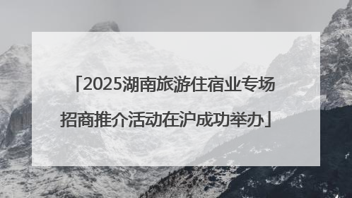 2025湖南旅游住宿业专场招商推介活动在沪成功举办