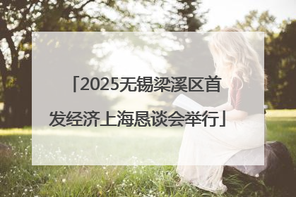 2025无锡梁溪区首发经济上海恳谈会举行