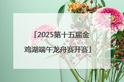 2025第十五届金鸡湖端午龙舟赛开赛