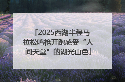 2025西湖半程马拉松鸣枪开跑感受“人间天堂”的湖光山色