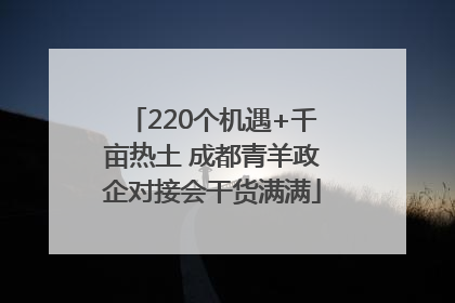 220个机遇+千亩热土 成都青羊政企对接会干货满满
