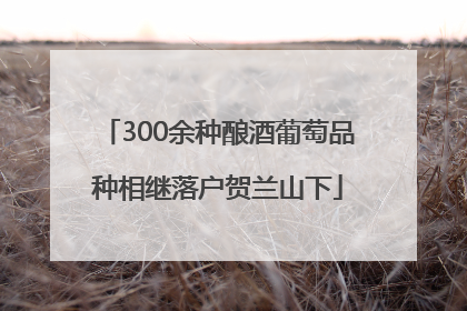 300余种酿酒葡萄品种相继落户贺兰山下