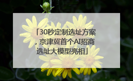30秒定制选址方案，京津冀首个AI招商选址大模型亮相