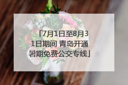 7月1日至8月31日期间 青岛开通暑期免费公交专线