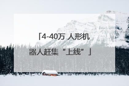 4-40万 人形机器人赶集“上线”
