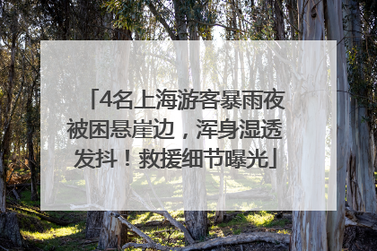 4名上海游客暴雨夜被困悬崖边，浑身湿透发抖！救援细节曝光