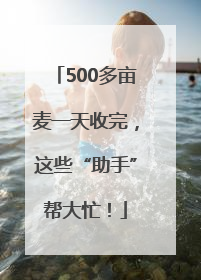 500多亩麦一天收完，这些“助手”帮大忙！