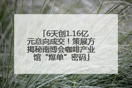 6天创1.16亿元意向成交！策展方揭秘南博会咖啡产业馆“爆单”密码
