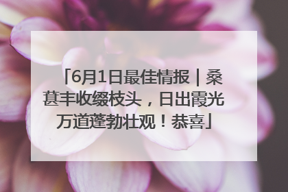 6月1日最佳情报｜桑葚丰收缀枝头，日出霞光万道蓬勃壮观！恭喜