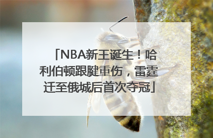 NBA新王诞生！哈利伯顿跟腱重伤，雷霆迁至俄城后首次夺冠
